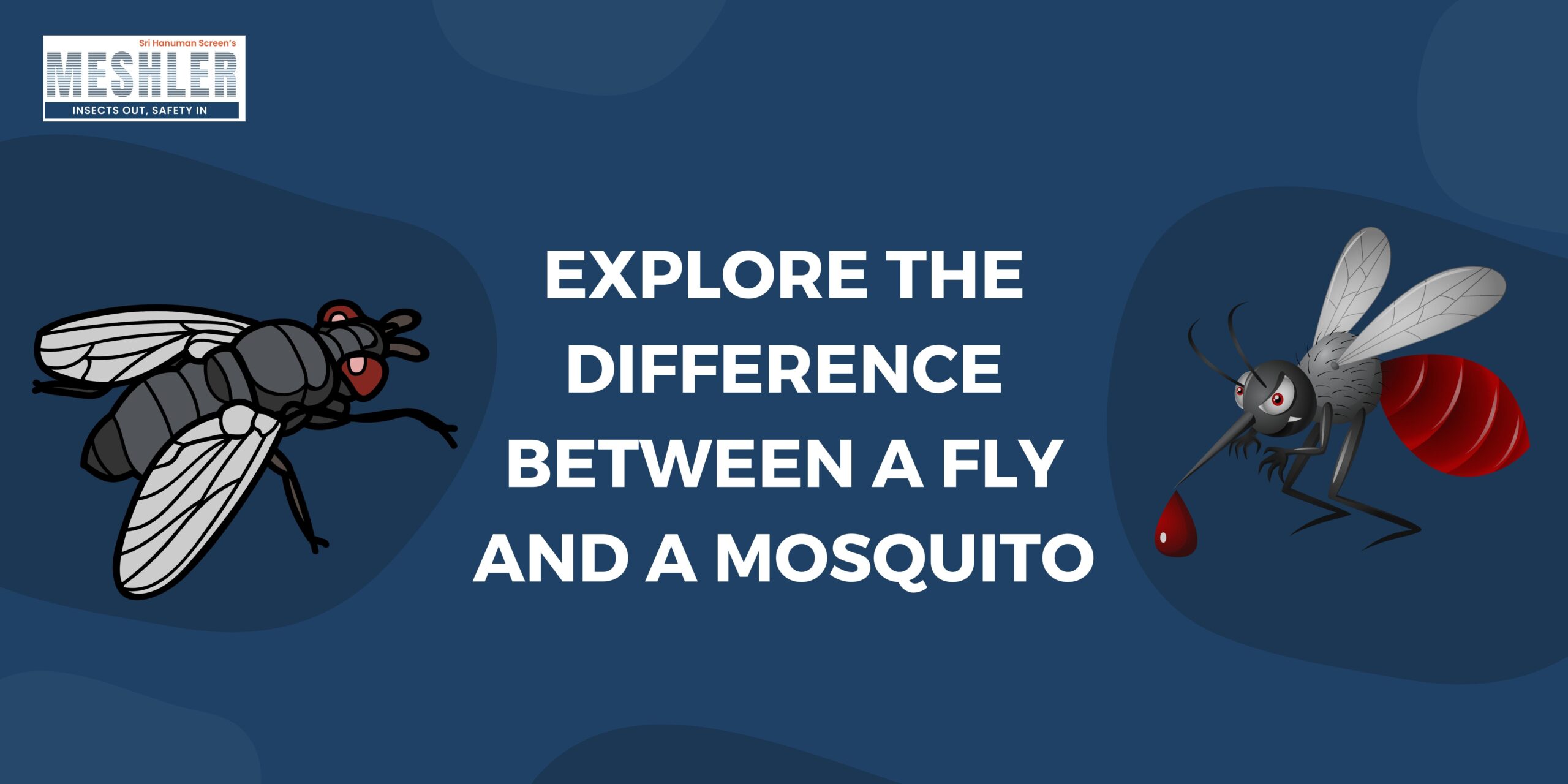 Explore the difference between a fly and a mosquito